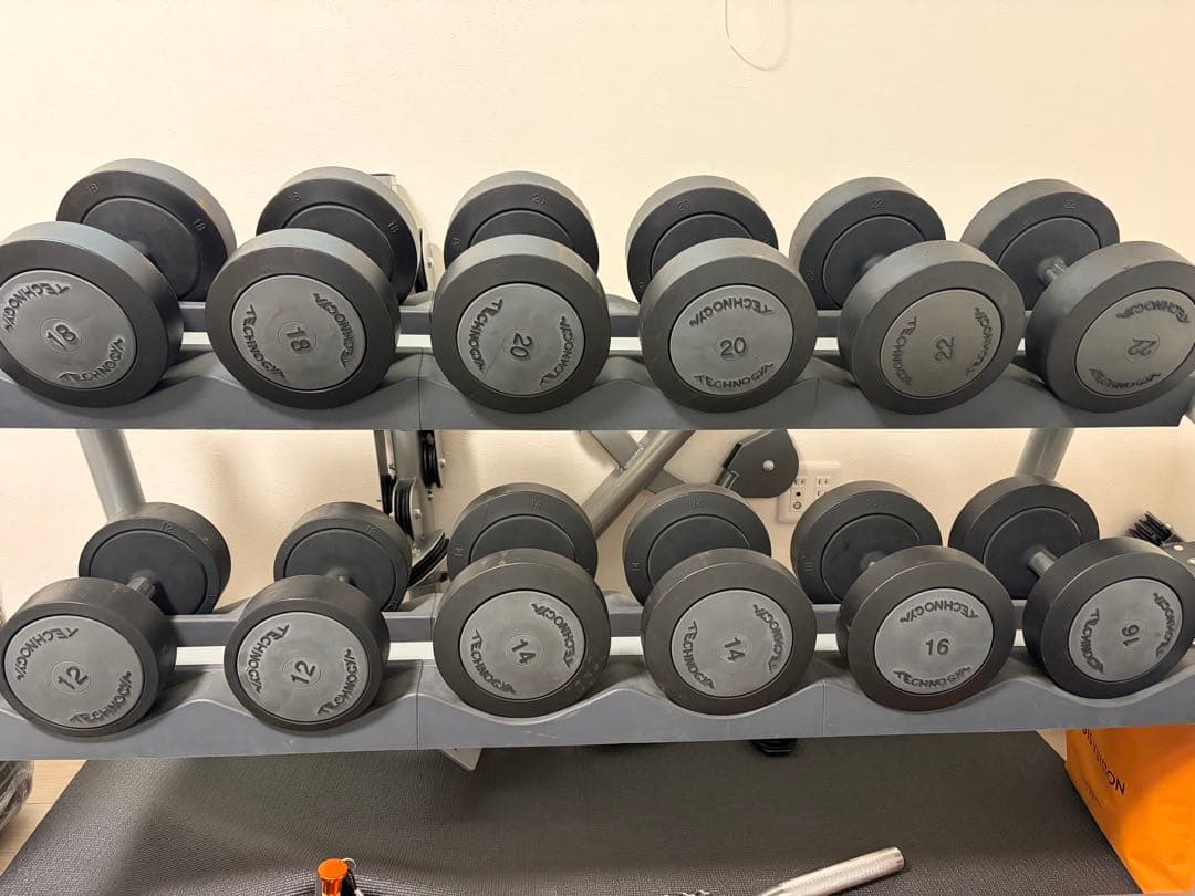 TECHNOGYM テクノジム ダンベルセット 12kg〜22kg（計12本）