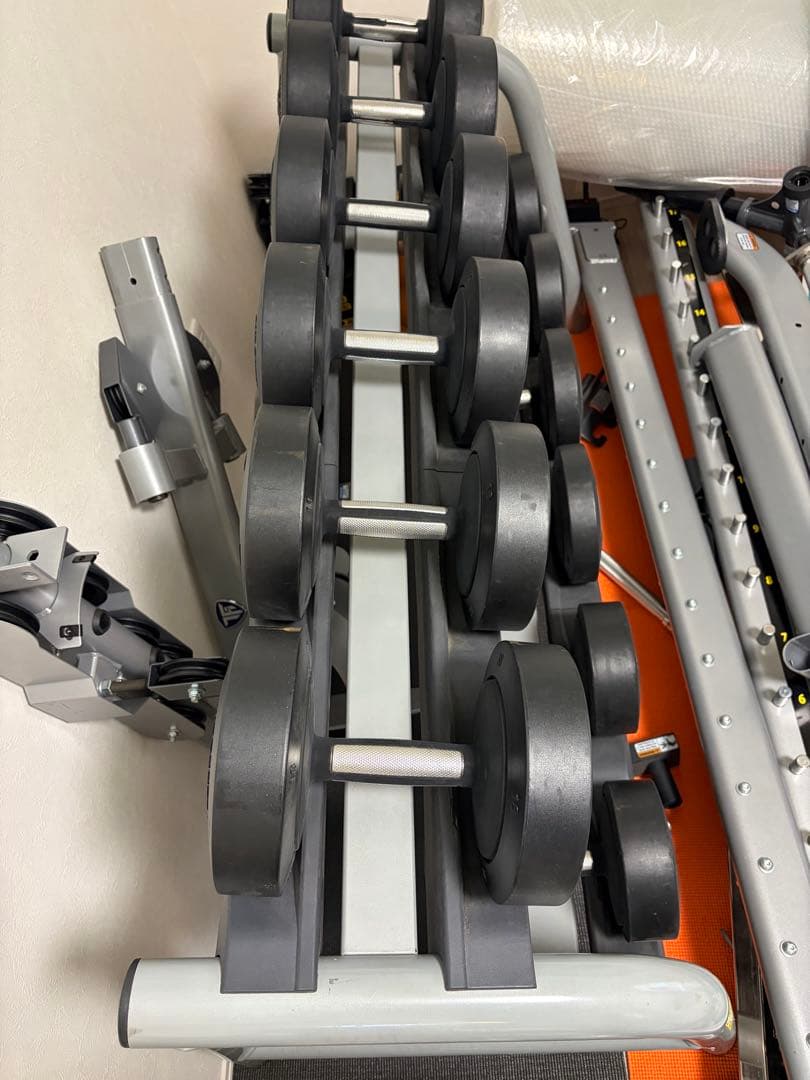 TECHNOGYM テクノジム ダンベルセット 12kg〜22kg（計12本）