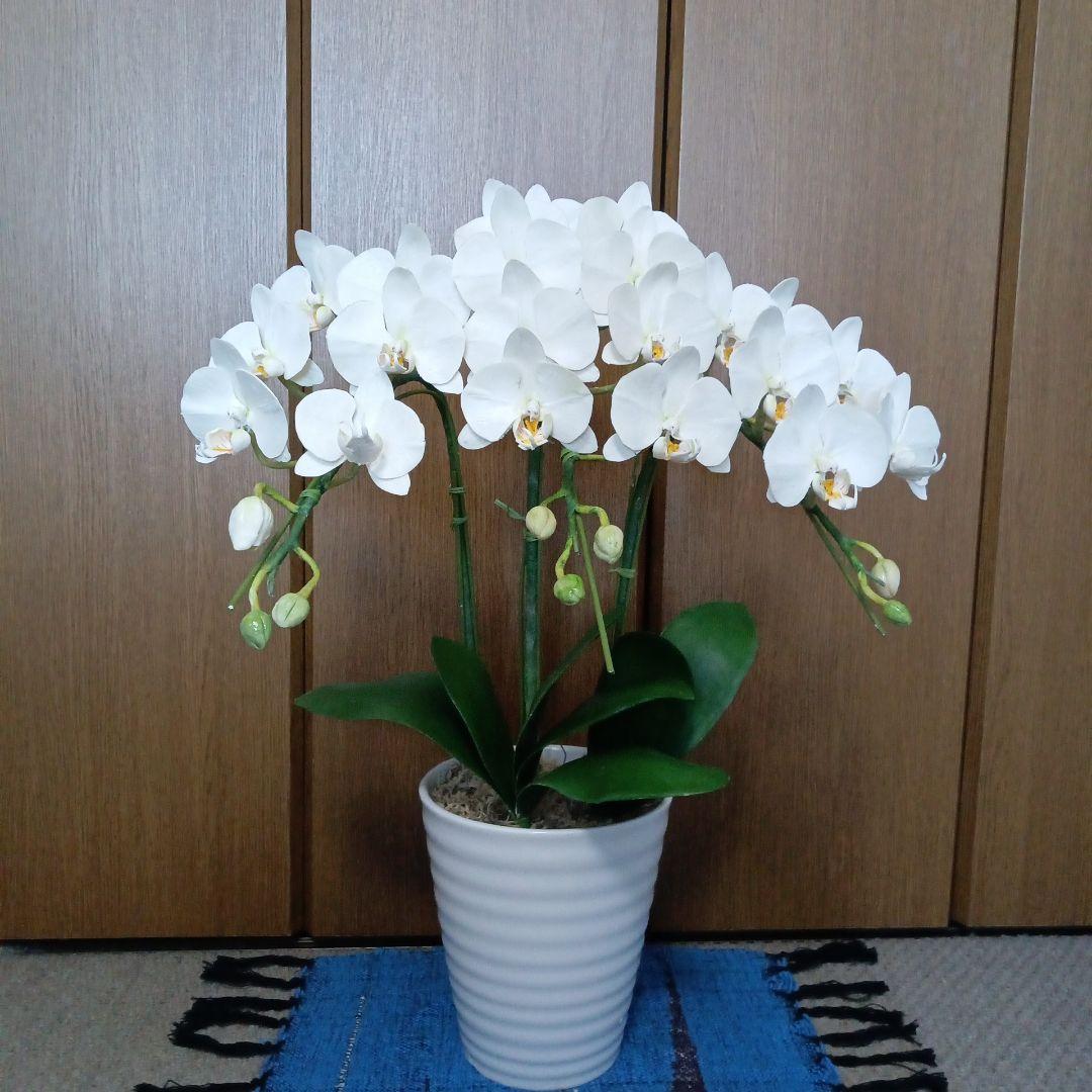 専用　ホワイト胡蝶蘭　クレイフラワー　樹脂粘土