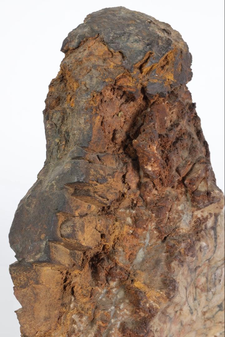 菊花石 菊紋石 大輪 紋石 台座付 3.2kg 鑑賞石 原石 自然石 美石 水石