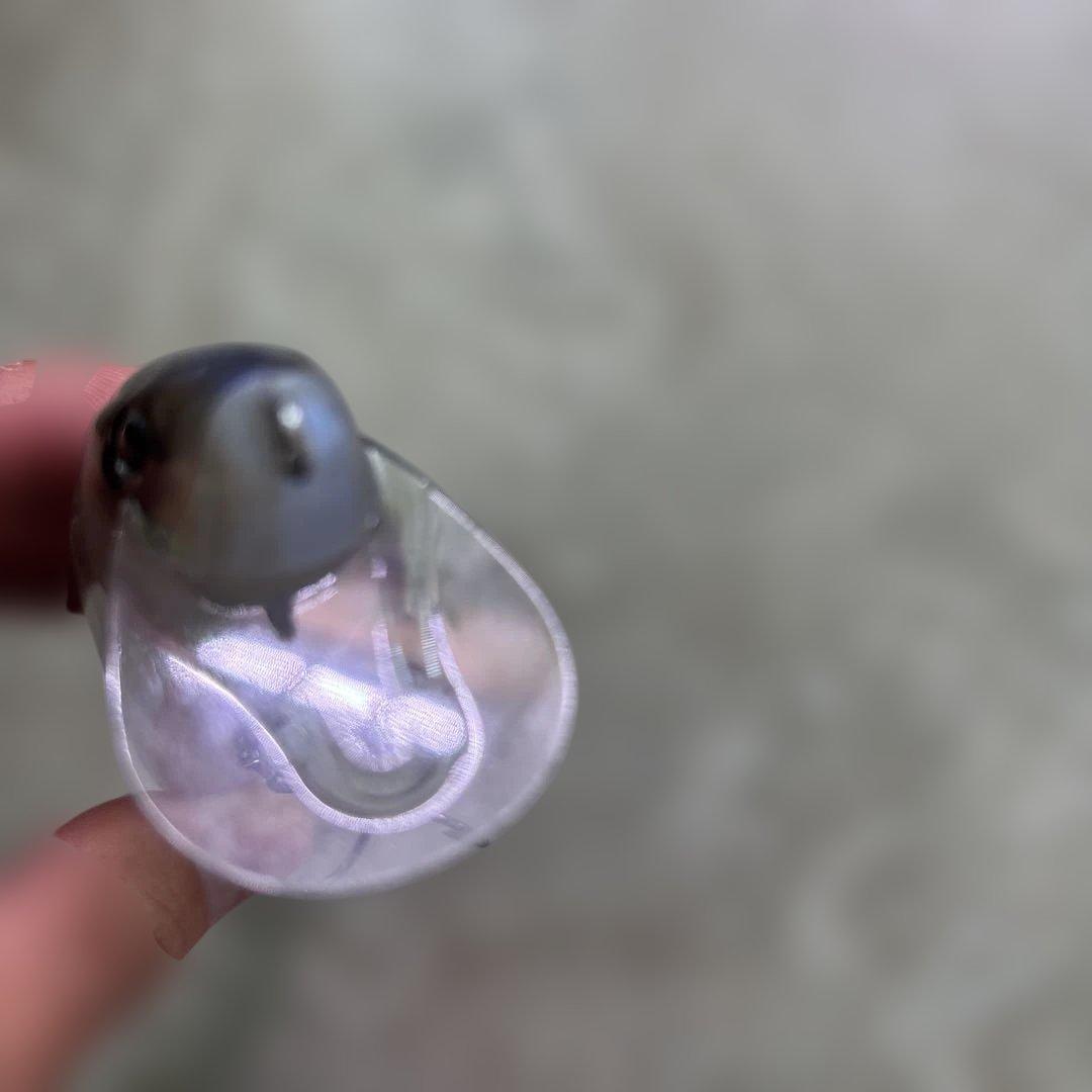 DRT タイニークラッシュLow #88bassboat KINGスメルト