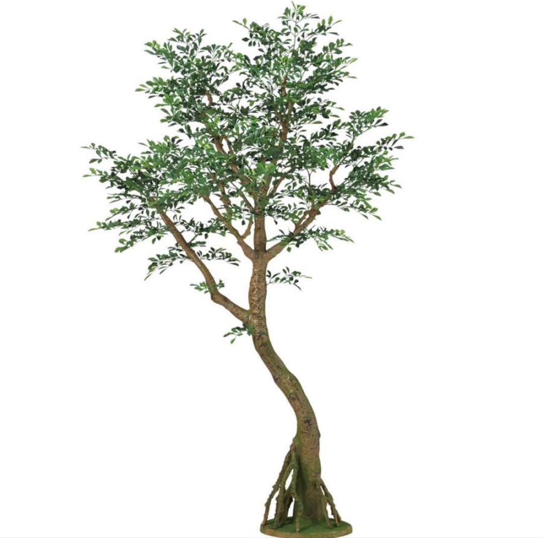 光触媒　人工観葉植物　ウォールグリーン　フェイクグリーン　トネリココアッド