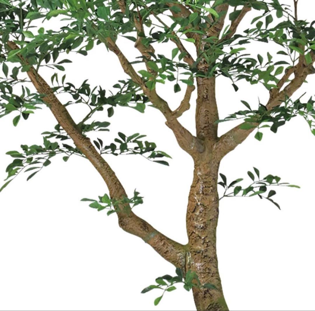 光触媒　人工観葉植物　ウォールグリーン　フェイクグリーン　トネリココアッド