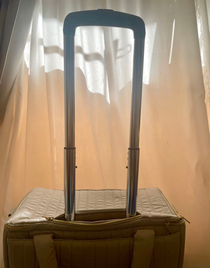 レインカバー付 完売品 フランフラン 3WAY ソフト キャリー スーツ