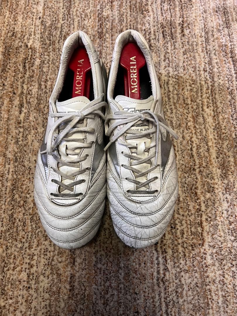 モレリア　DNA 27センチ