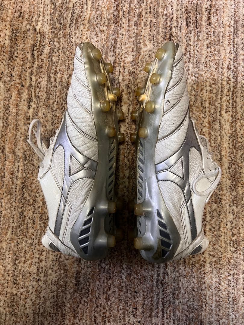 モレリア　DNA 27センチ