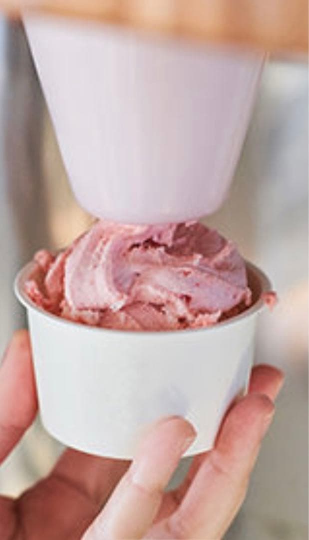 業務用 冷凍果物・野菜アイスクリームブレンダー