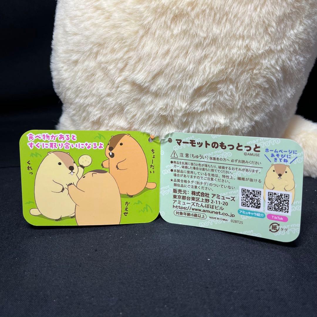 マーモットのもっとっと JB アー太郎 はまもと もっとっと ぬいぐるみ