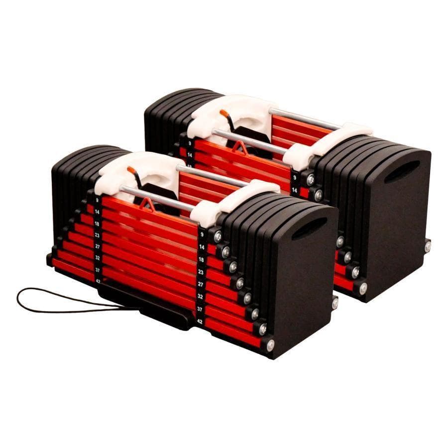 中古美品可変式ダンベル 42kg 2個セット 24段階調節 パワーブロック