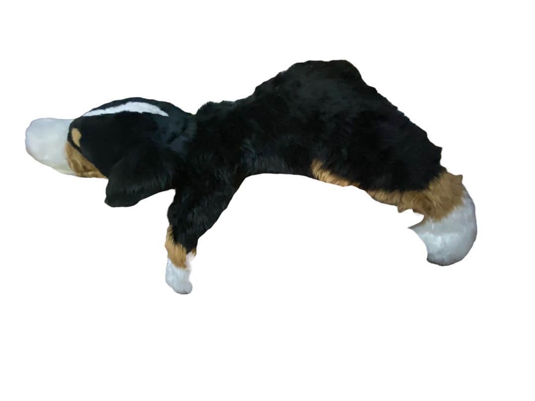 バーニーズ・マウンテン・ドッグ　ぬいぐるみ