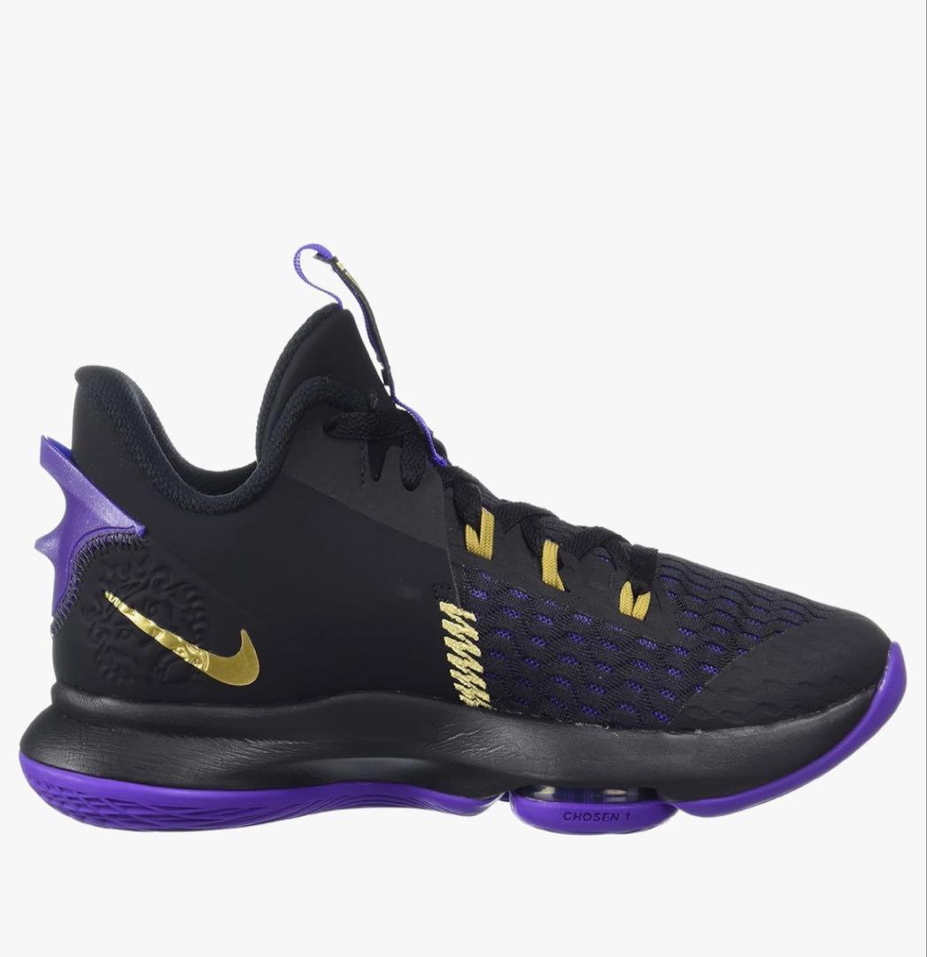 バスケットシューズ ナイキ レブロン ウィットネス 5 EP サイズ25.0