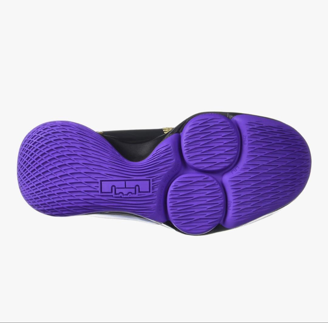 バスケットシューズ ナイキ レブロン ウィットネス 5 EP サイズ25.0