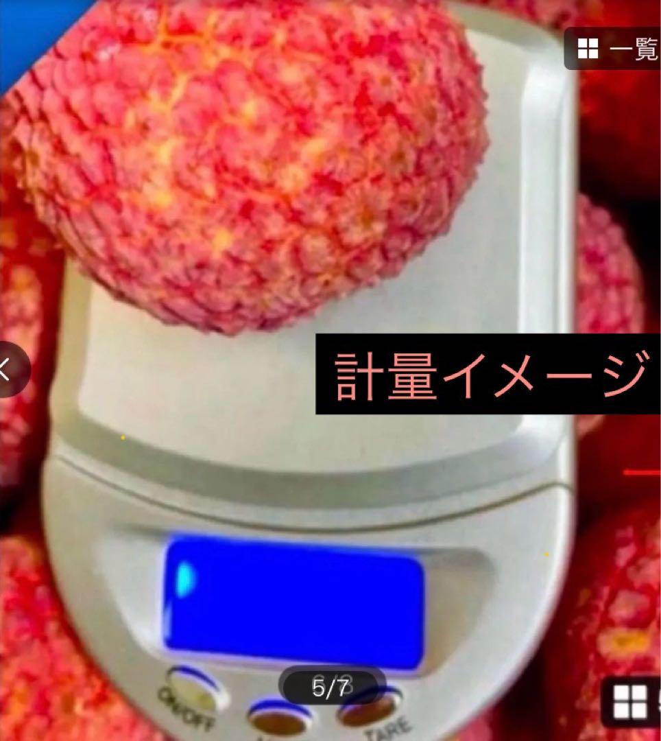 結実中・33 篤姫ライチ　半耐寒性
