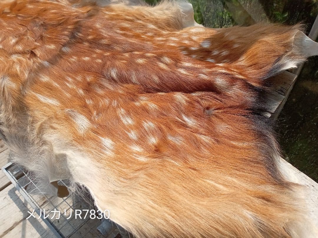特上　天然日本鹿　夏毛　ラグ