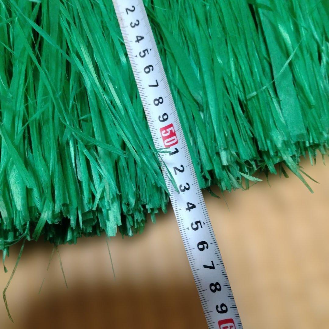 緑色フラダンス　モレ