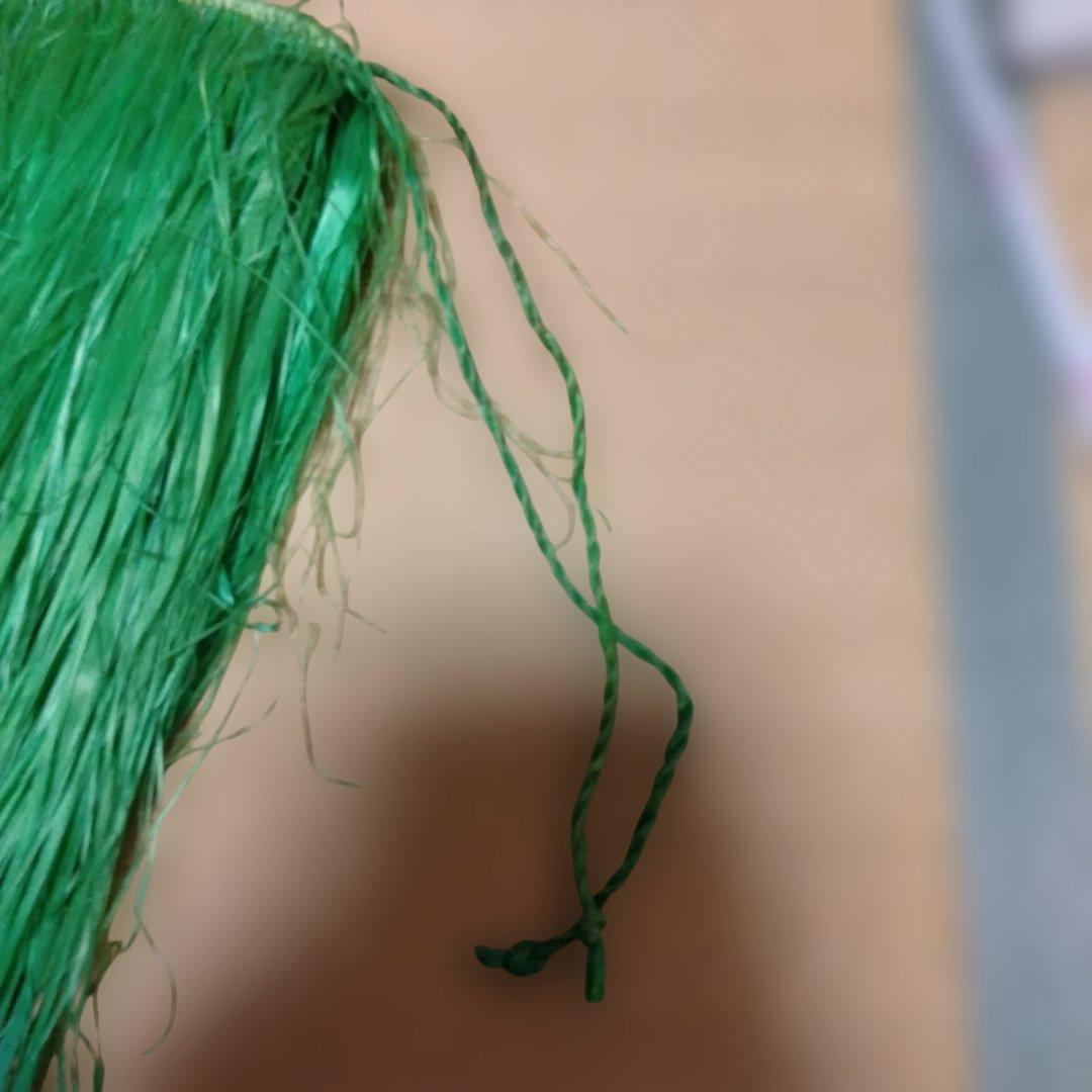 緑色フラダンス　モレ