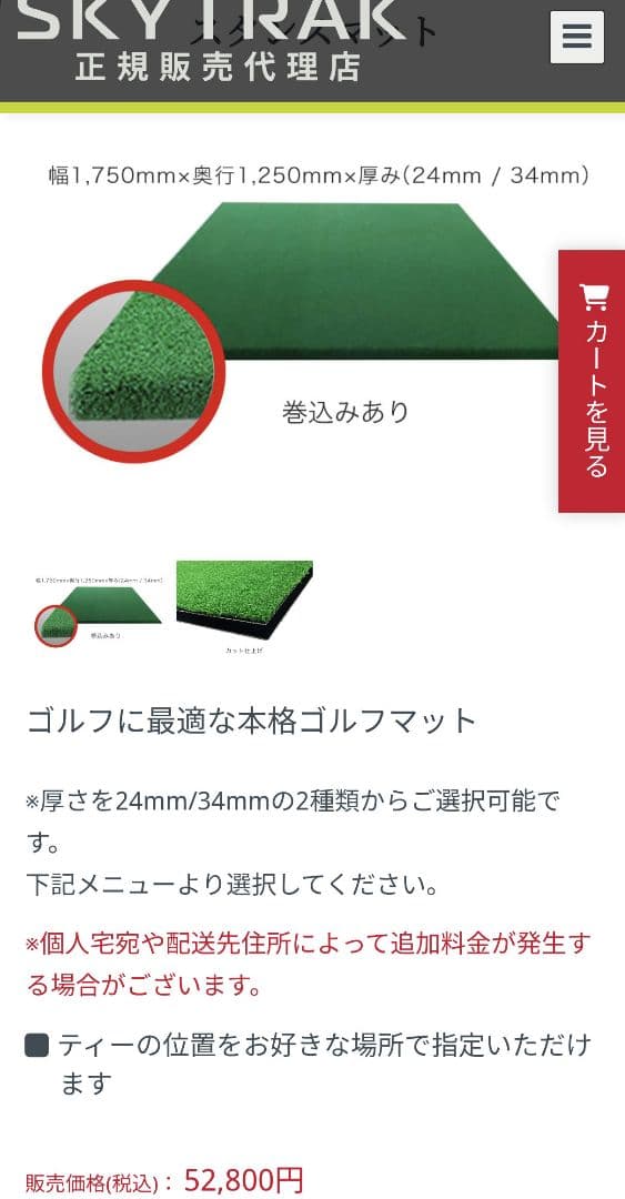 SKY TRAK スカイトラック スタンスマット　ゴルフ練習マット　芝生