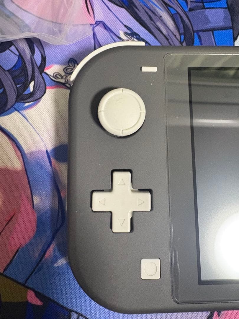 Nintendo Switch Lite 本体＋ケースセット