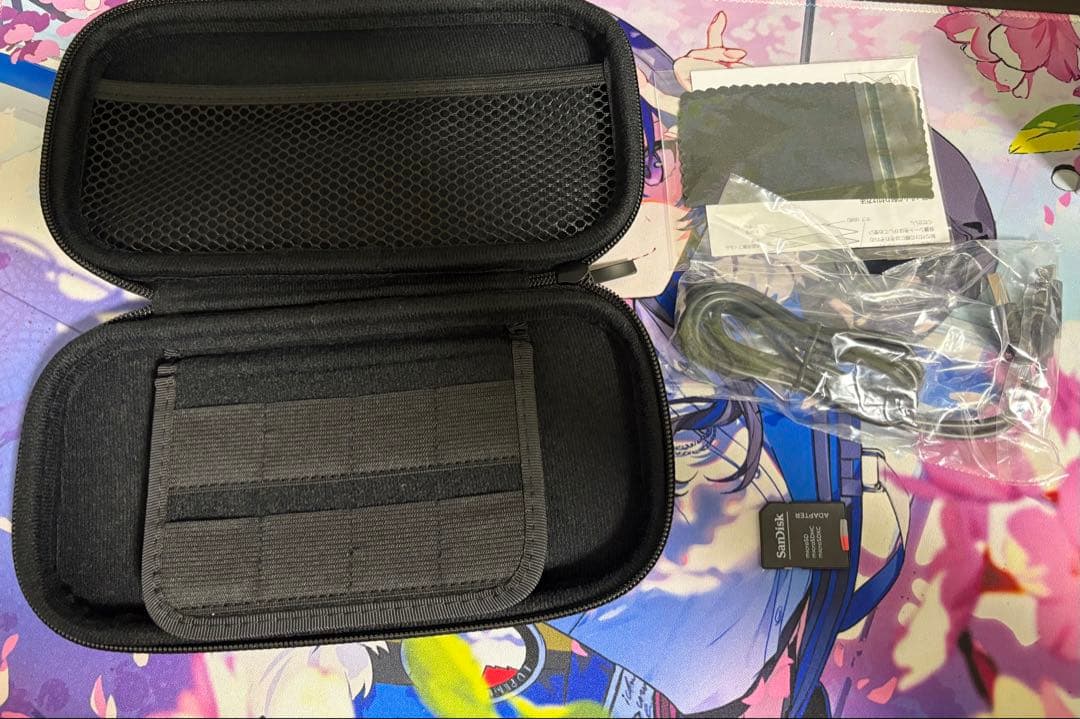 Nintendo Switch Lite 本体＋ケースセット