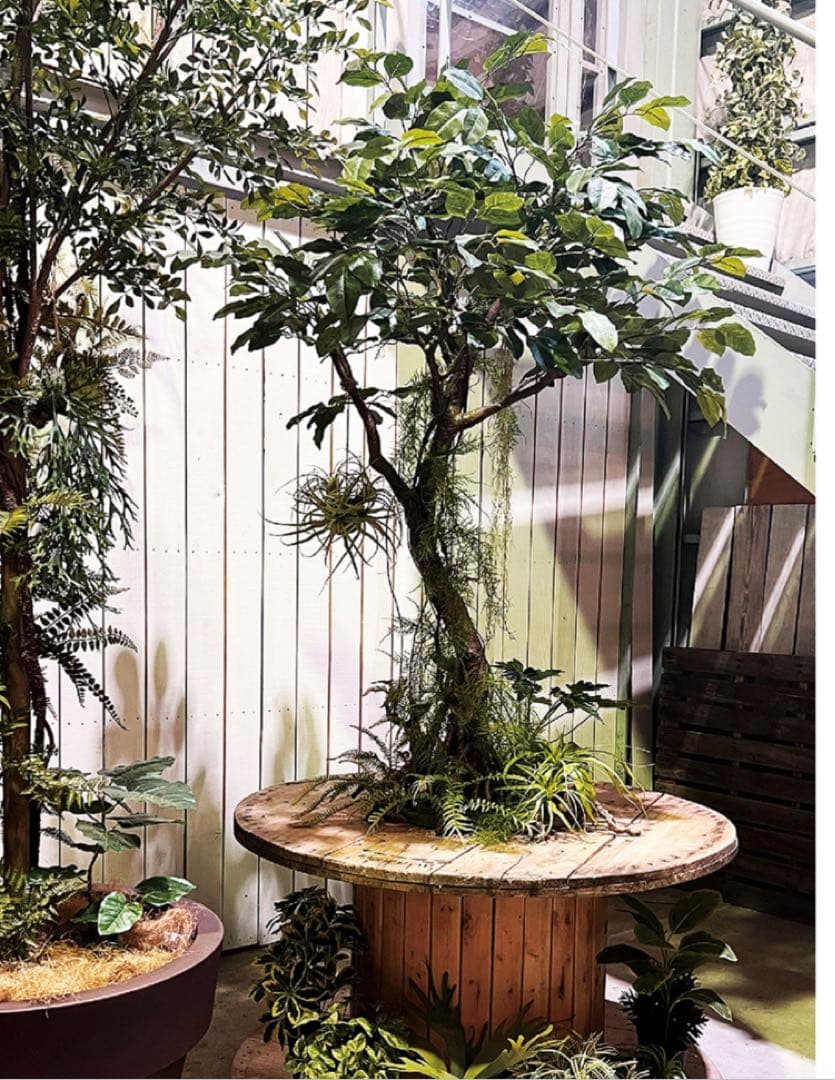 光触媒 人工観葉植物 フェイクグリーン ベンガルボダイジュコアッド鉢付き