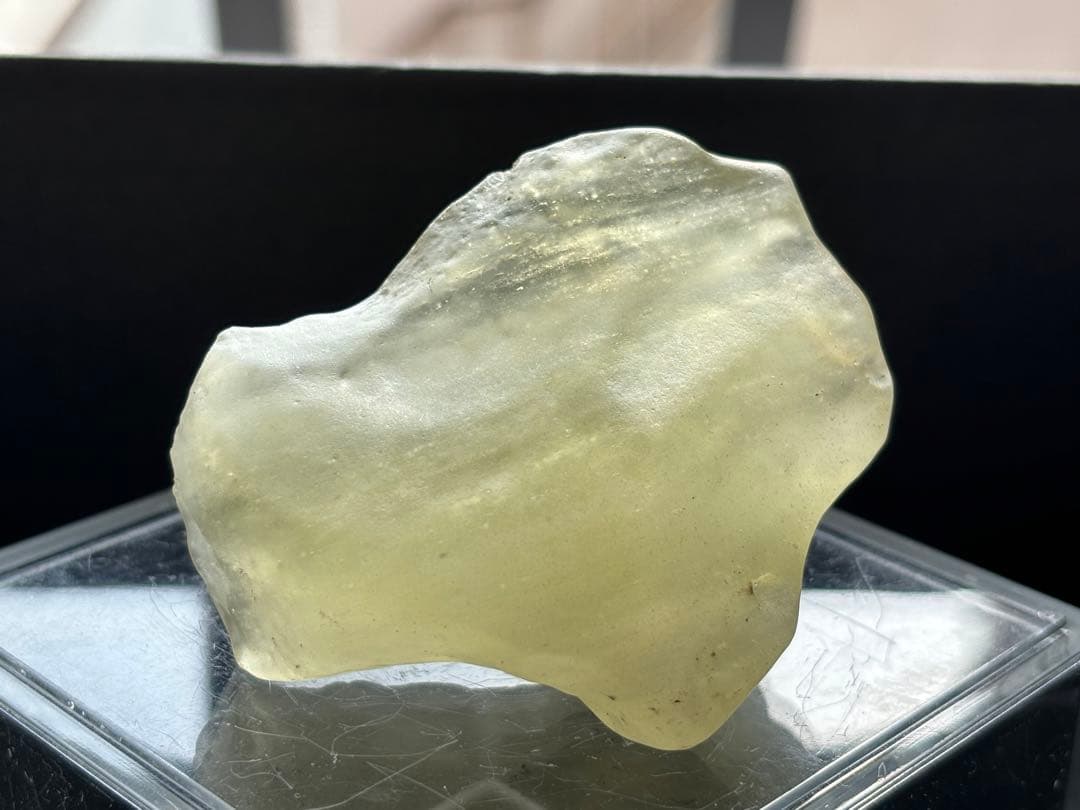 とし◾️リビアングラス・大