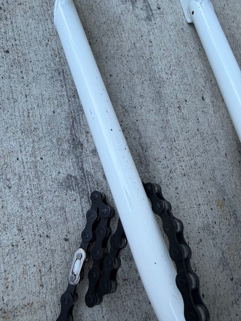 お得！ ダーカスワンRaw白フレーム