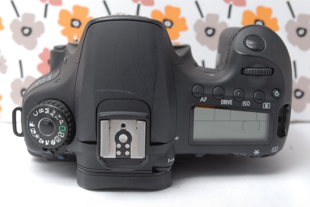 ❤Canon EOS 60D❤スマホ転送OK❤美品❤秋の行楽シーズンに❤