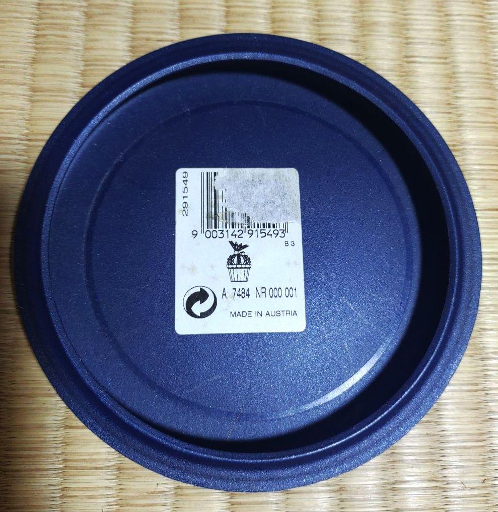 値下/新品/廃盤品/匿名送❯ SWAROVSKI スワロフスキー サボテン開花