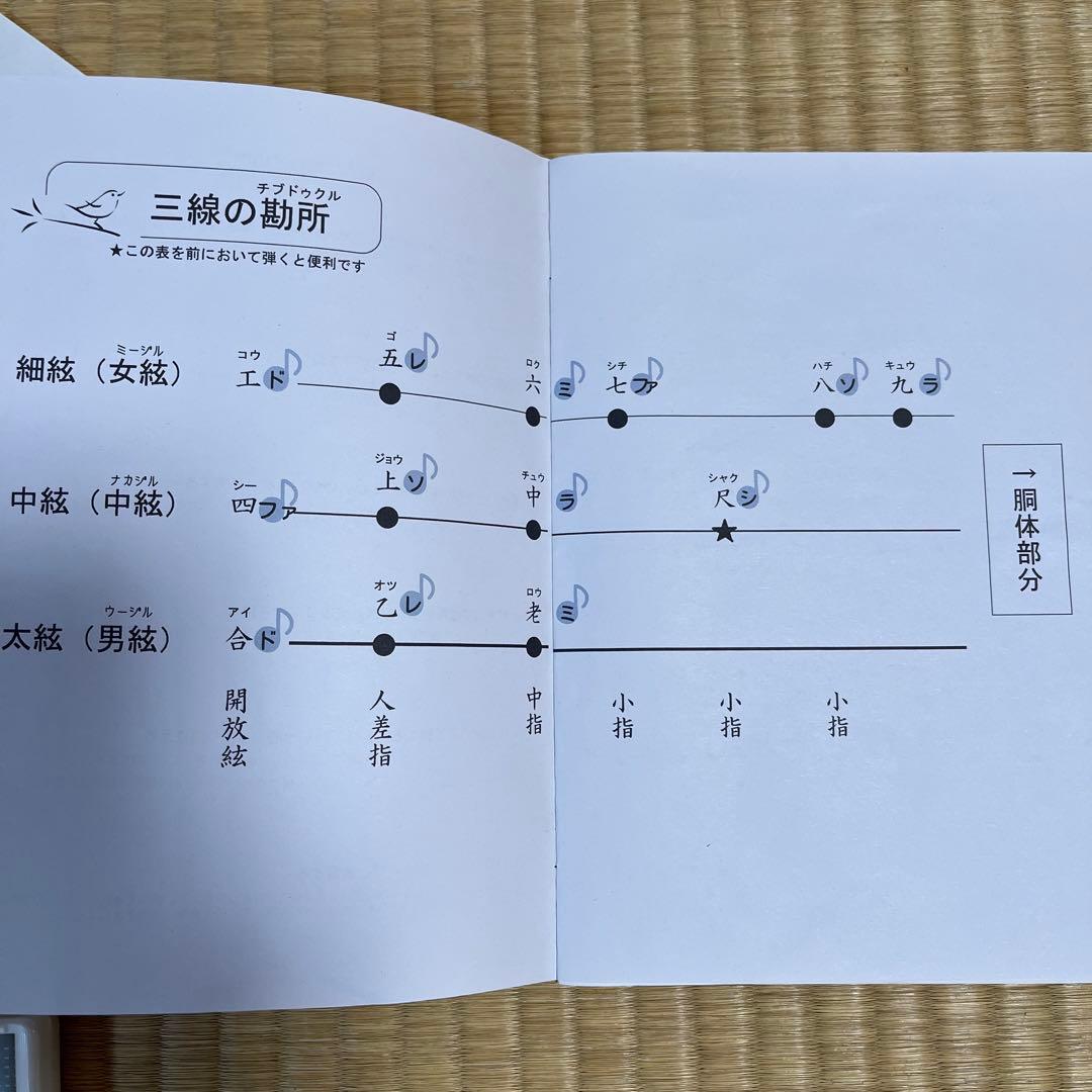 沖縄　三線　初心者セット　DVD CD 体験ブック他　セット