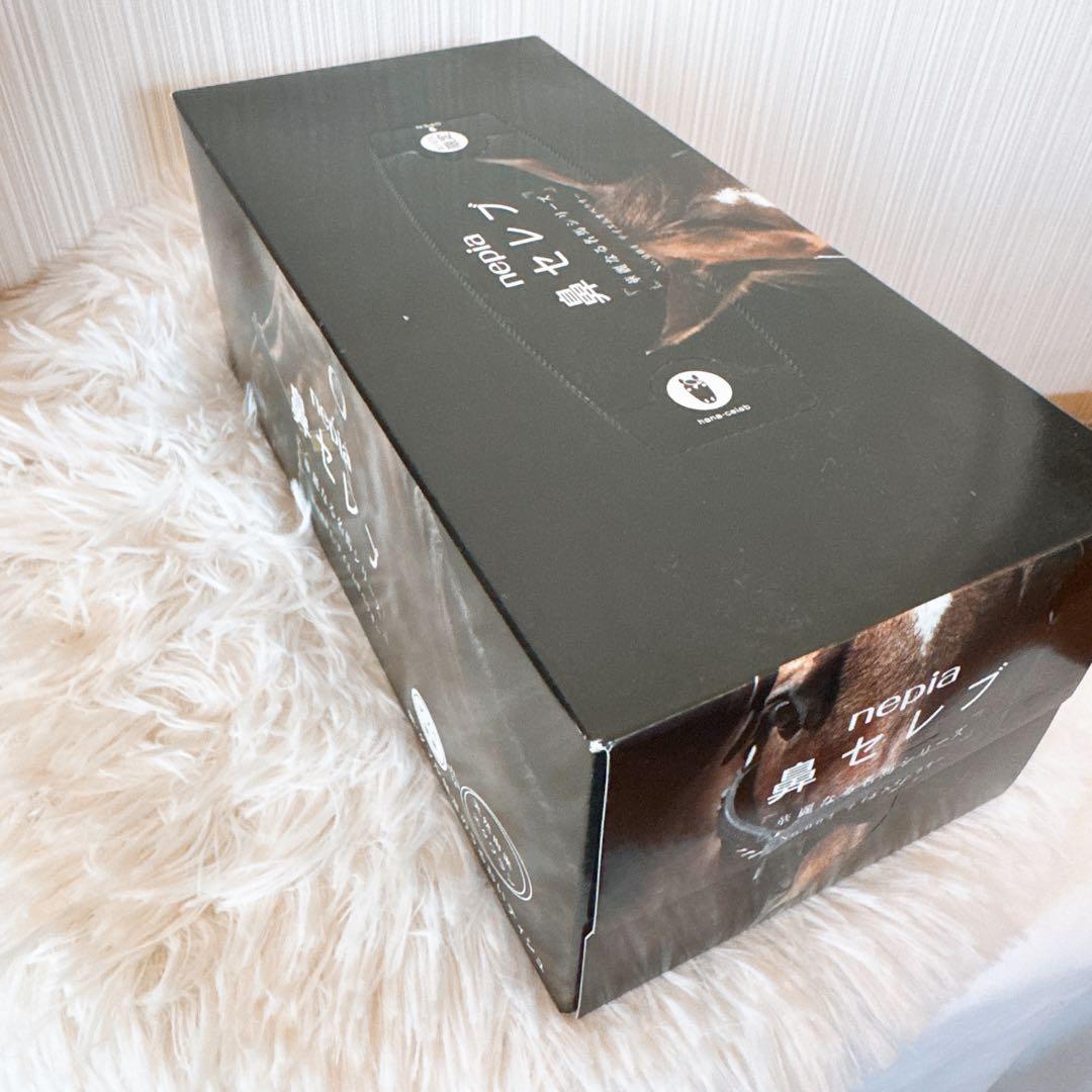 鳴沢 テイエムオペラオー写真