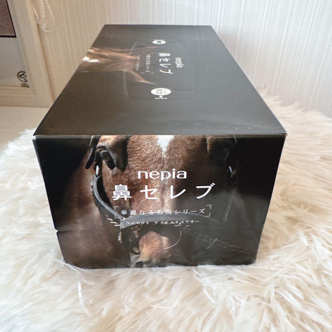 鳴沢 テイエムオペラオー写真