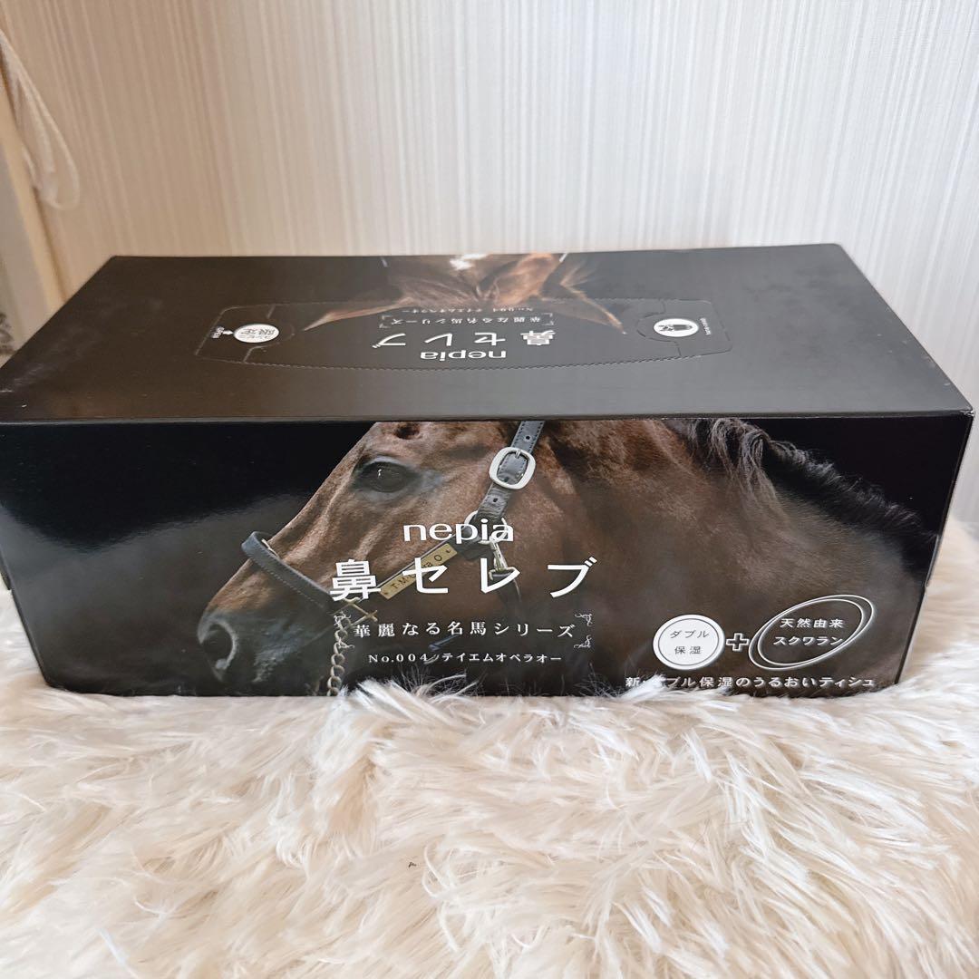 鳴沢 テイエムオペラオー写真