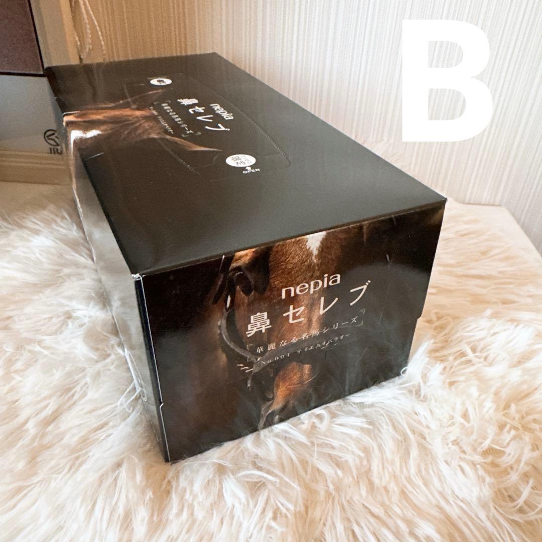 鳴沢 テイエムオペラオー写真