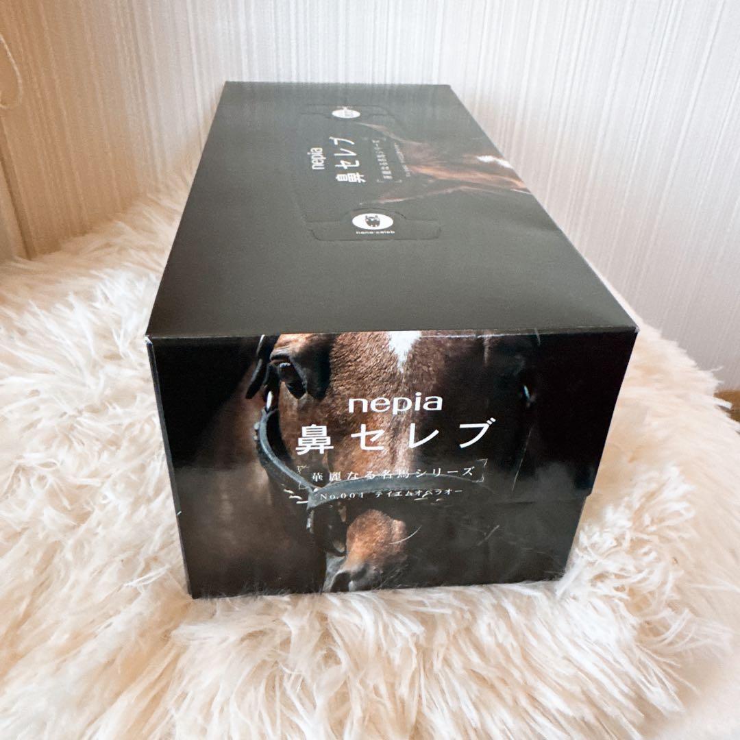 鳴沢 テイエムオペラオー写真