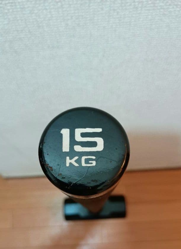 【15kg】BODYMAKER　ジムハンマー