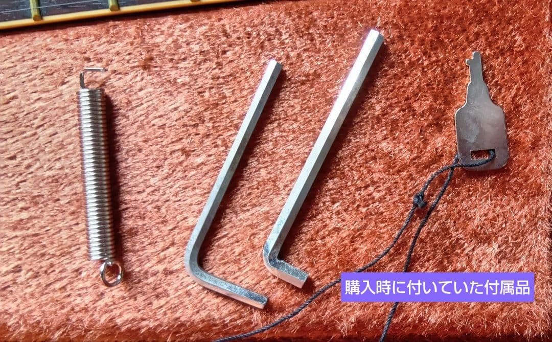 【オリジナル】Ibanez／アイバニーズ　デストロイヤーⅡ　DT-555　84年