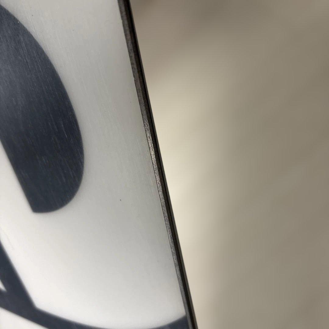 スノーボード　elan SPIKE 150 NYCデザイン