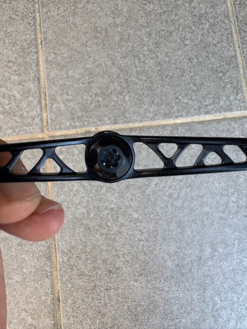 LIVRE BRACK LION WING 100 ダイワ用