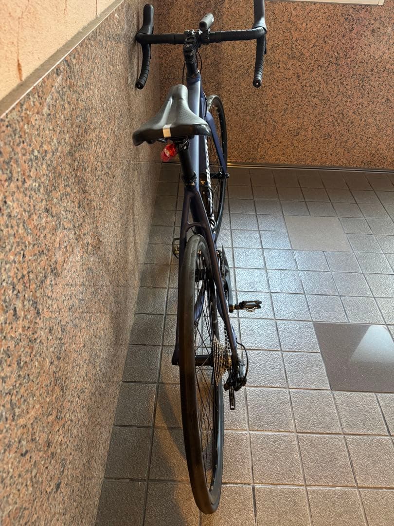 しまさんKhodaaBloom FARNA DISC 105