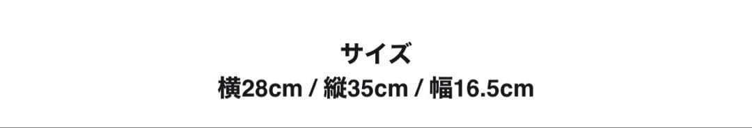 THE NORTH FACE リュック