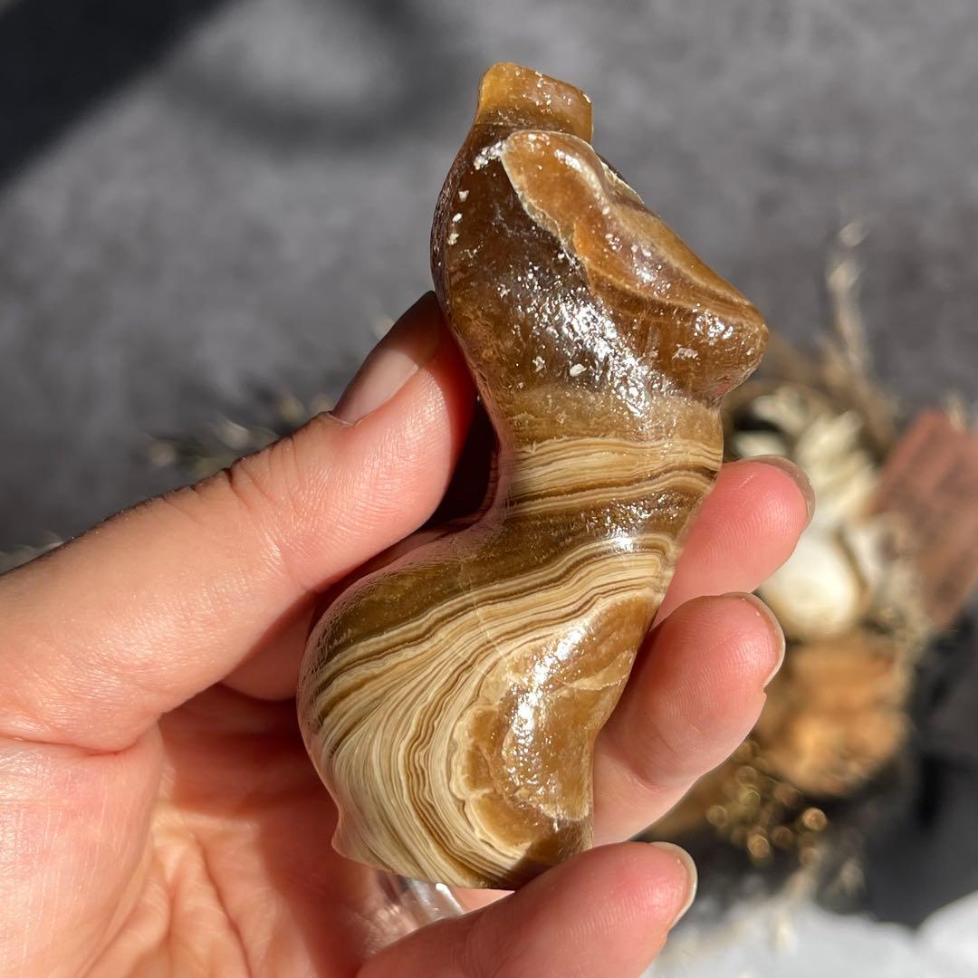 チョコレート カルサイト レディース ボディ