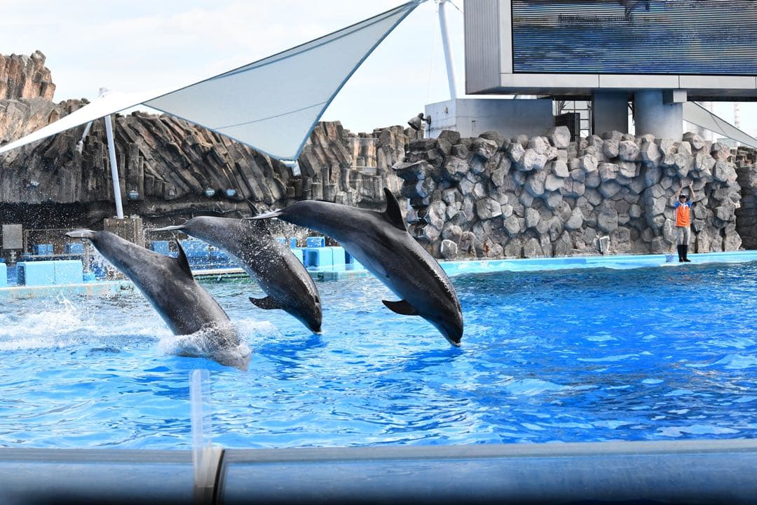 ニコン 70-200mm f2.8E FL ED VR動作確認　実用美品