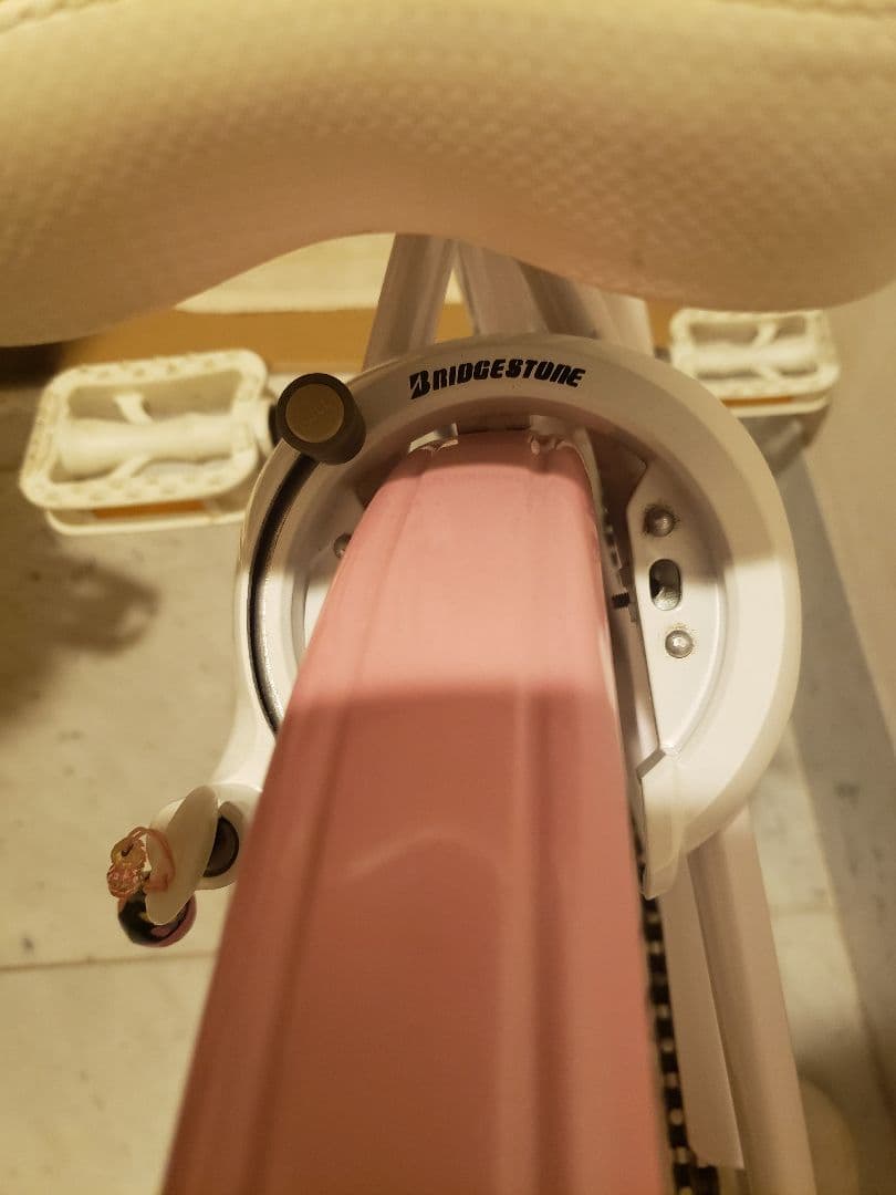 BRIDGESTONE Wild Berry 22\"子供用 【室内保管・直渡し】