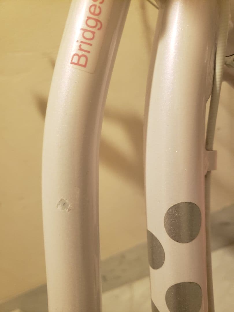 BRIDGESTONE Wild Berry 22\"子供用 【室内保管・直渡し】