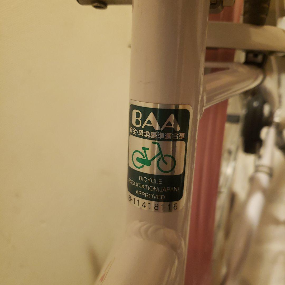 BRIDGESTONE Wild Berry 22\"子供用 【室内保管・直渡し】