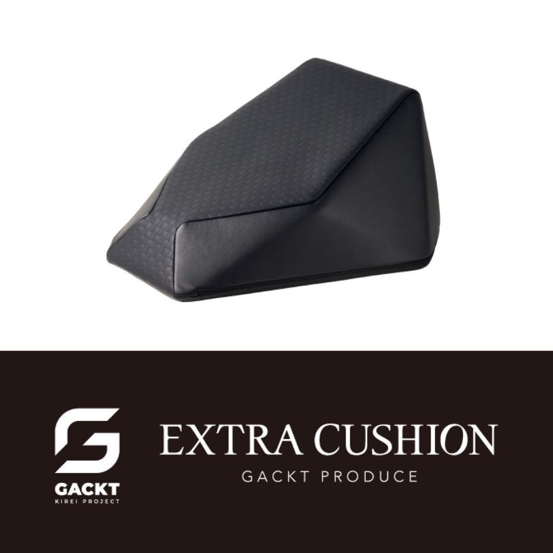 お値下げ可　新品未使用　エクストラクッション/GACKT　AIM-CU11T