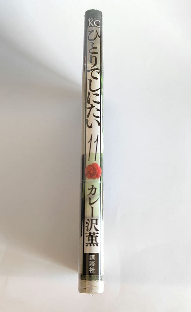 ひとりでしにたい 1〜11巻　全巻セット　カレー沢薫