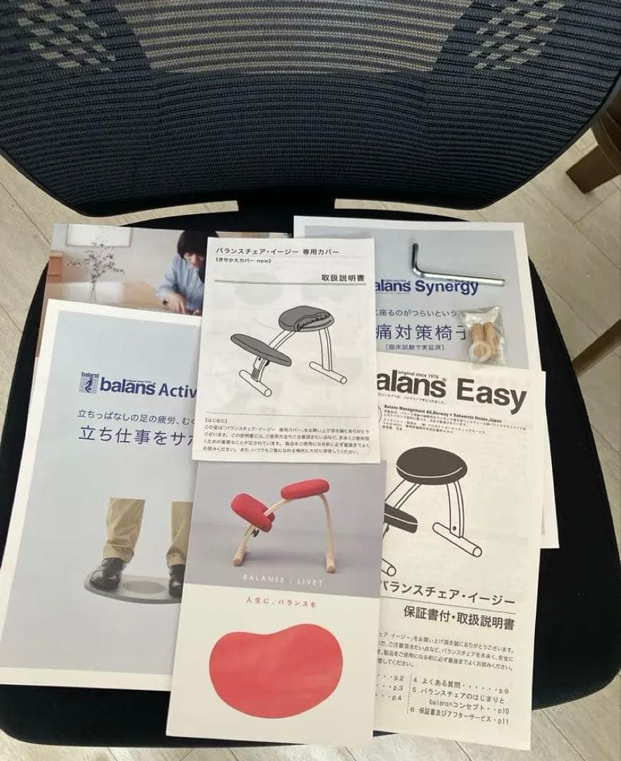 サカモトハウス Balans Easy バランスチェアイージー　ネイビー