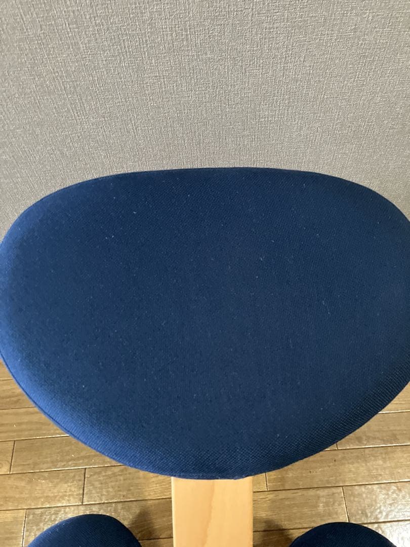 サカモトハウス Balans Easy バランスチェアイージー　ネイビー