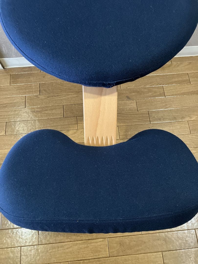 サカモトハウス Balans Easy バランスチェアイージー　ネイビー